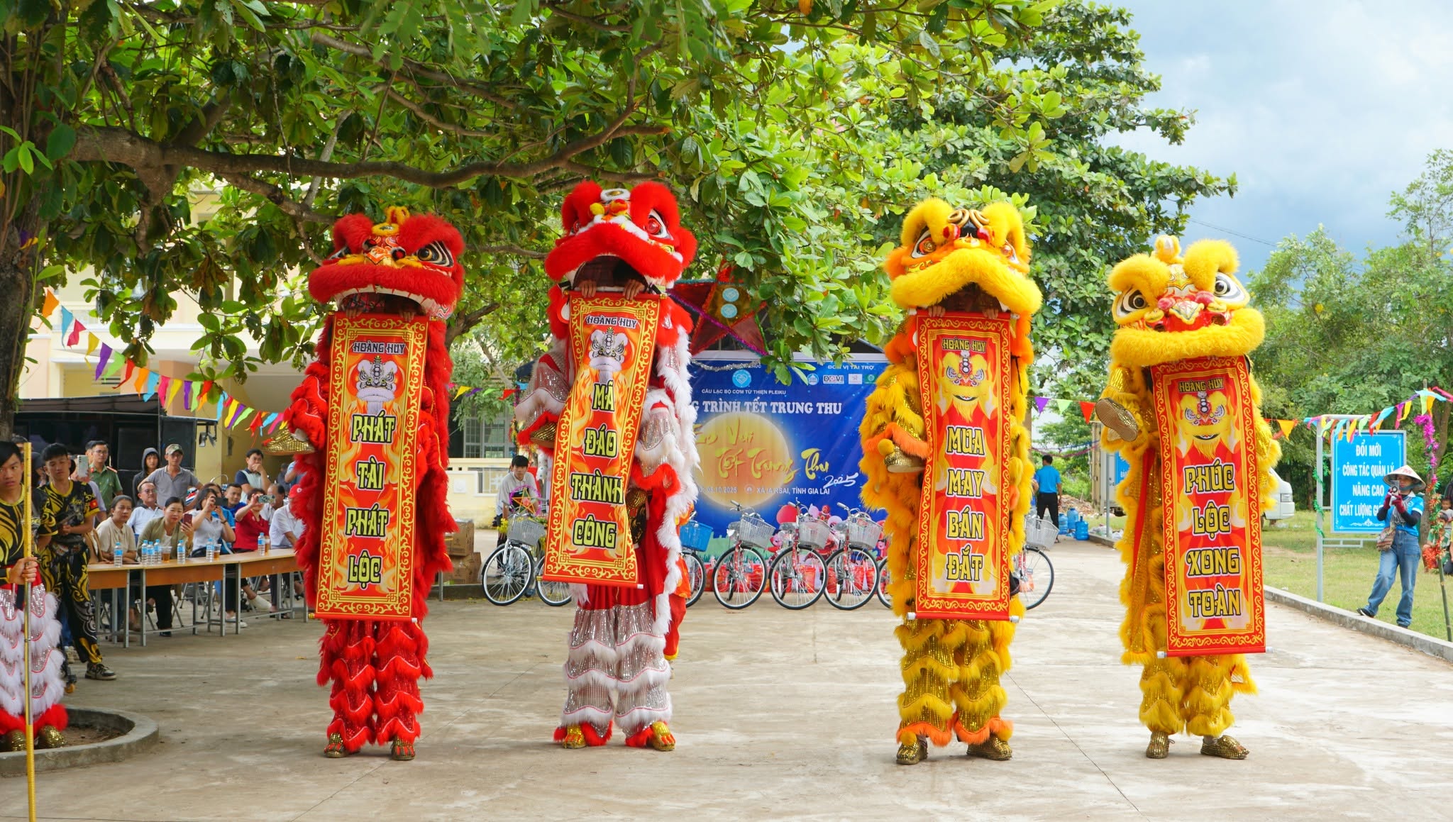 Hình ảnh 12